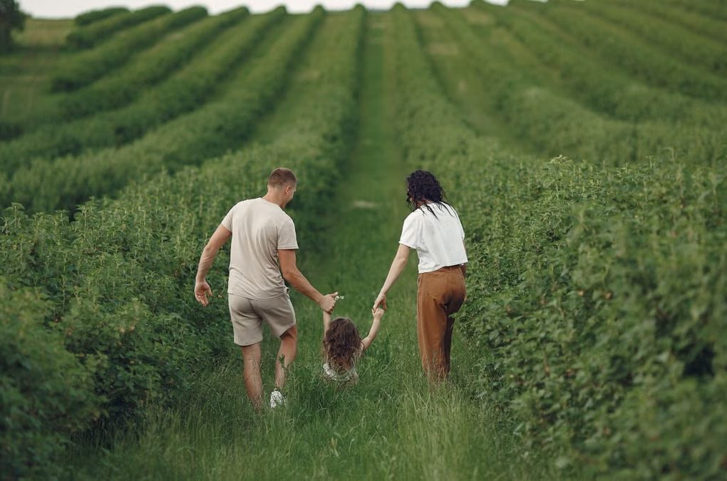 Happy family walking together through a lush green field enjoying nature and togetherness.